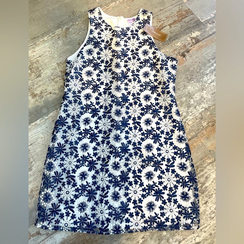 NWT Francesca’s Alpha Floral Lace Shift Dress